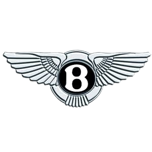 BlynCars